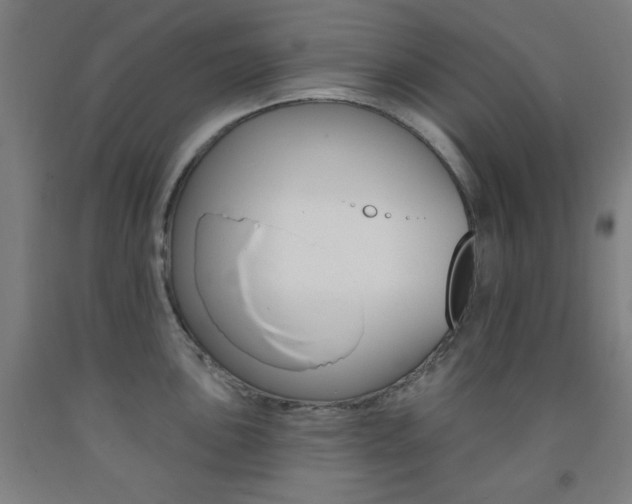 X0000093131051200709261031