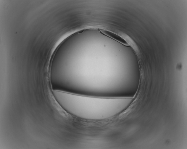 X0000093131052200709261031