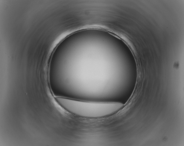 X0000093131054200709261031