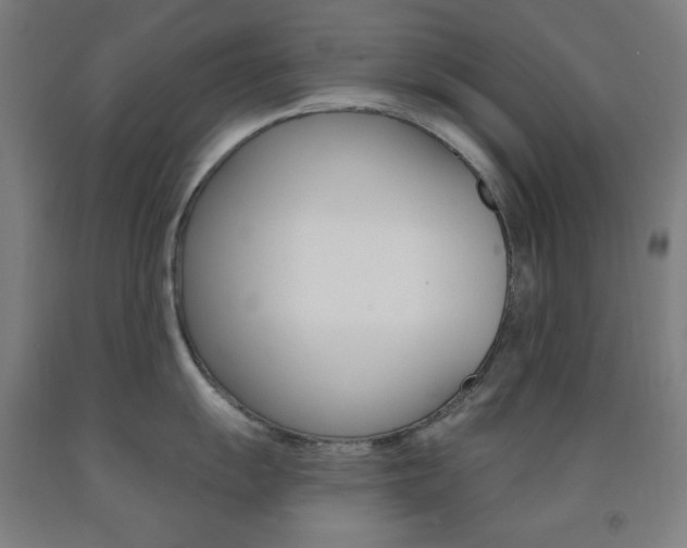 X0000093131055200709261031