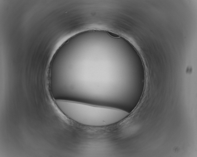 X0000093131056200709261031