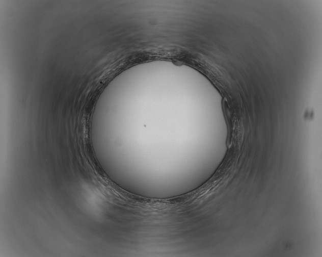 X0000093131058200709261031