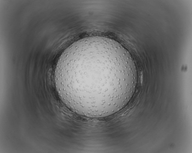 X0000093131059200709261031