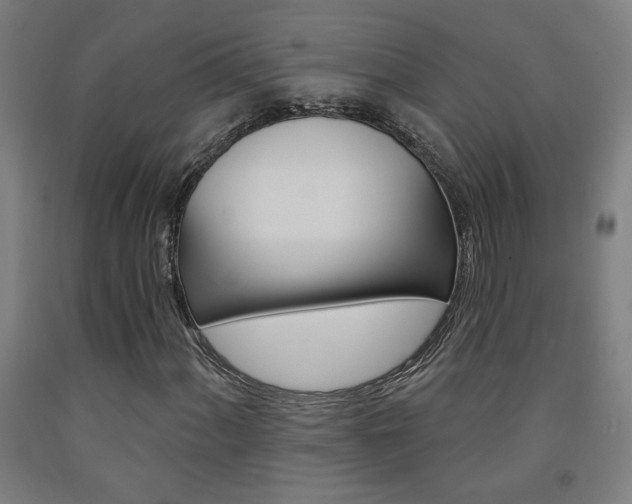 X0000093131060200709261030