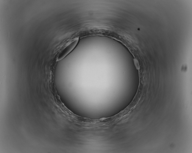 X0000093131061200709261030