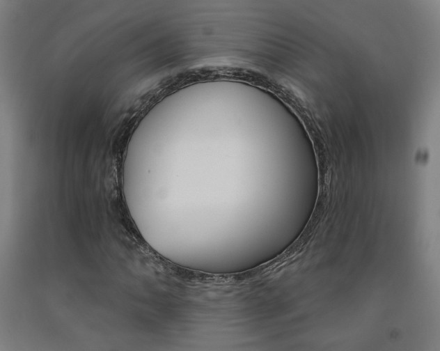 X0000093131062200709261030