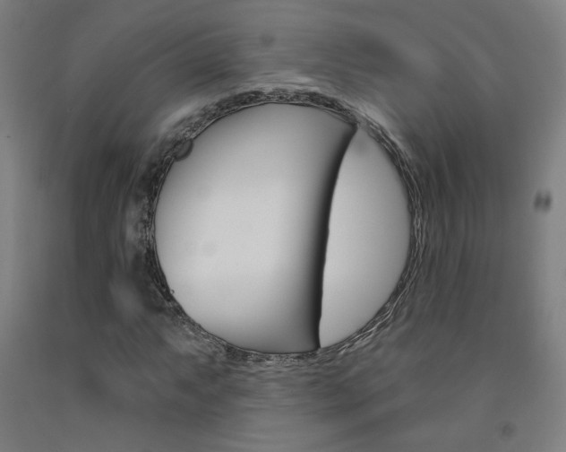 X0000093131063200709261030