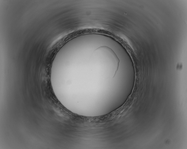 X0000093131064200709261030
