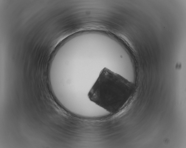 X0000093131065200709261030
