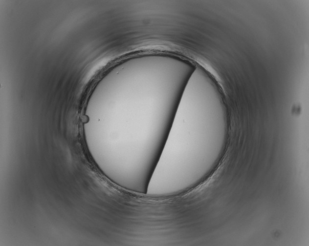 X0000093131067200709261030