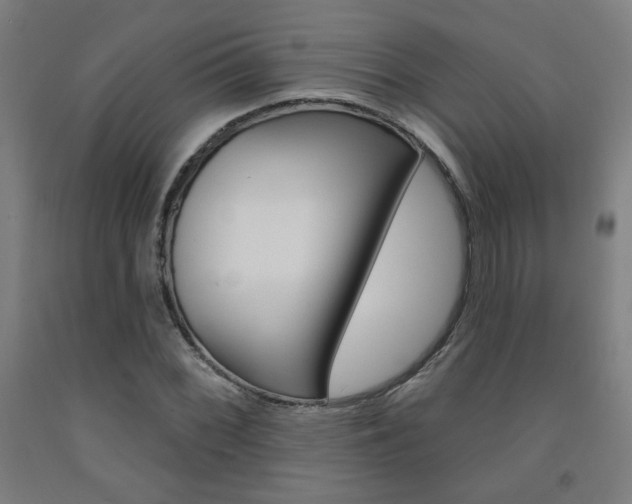 X0000093131068200709261030