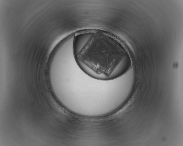 X0000093131069200709261030