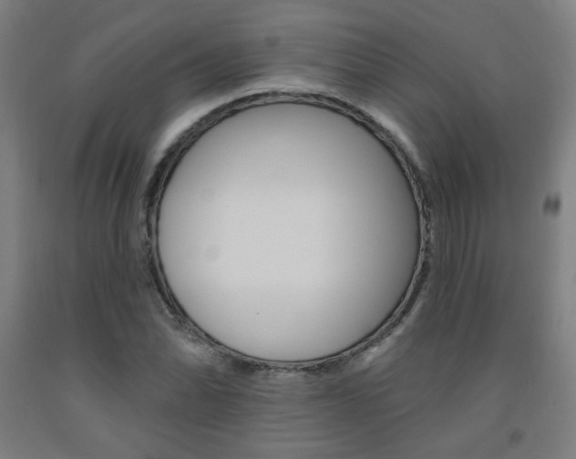 X0000093131070200709261030