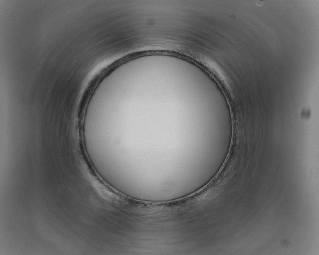 X0000093131072200709261030