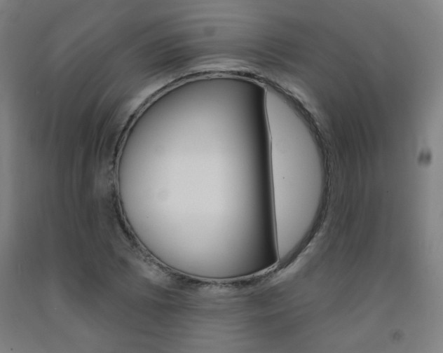 X0000093131073200709261030