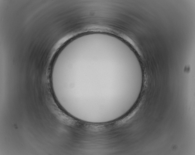 X0000093131074200709261030