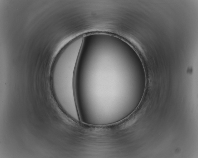 X0000093131077200709261030