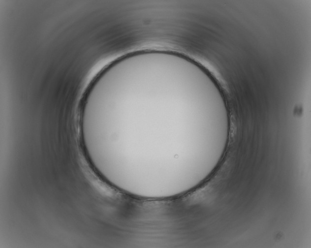 X0000093131078200709261030