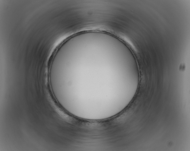 X0000093131079200709261030