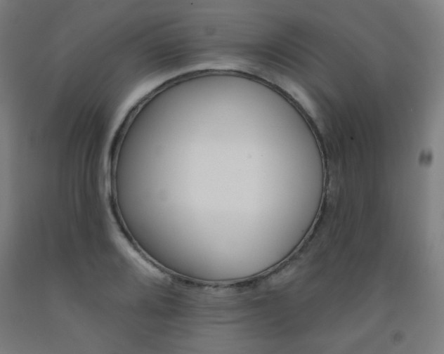 X0000093131080200709261030