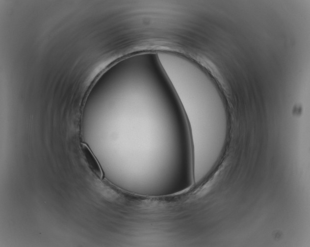 X0000093131081200709261030
