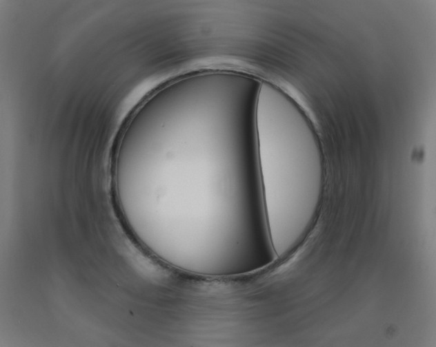 X0000093131082200709261030
