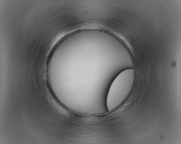 X0000093131083200709261030