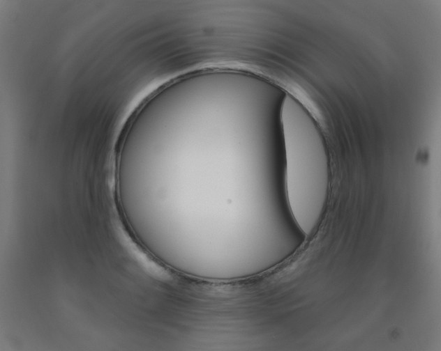 X0000093131084200709261030
