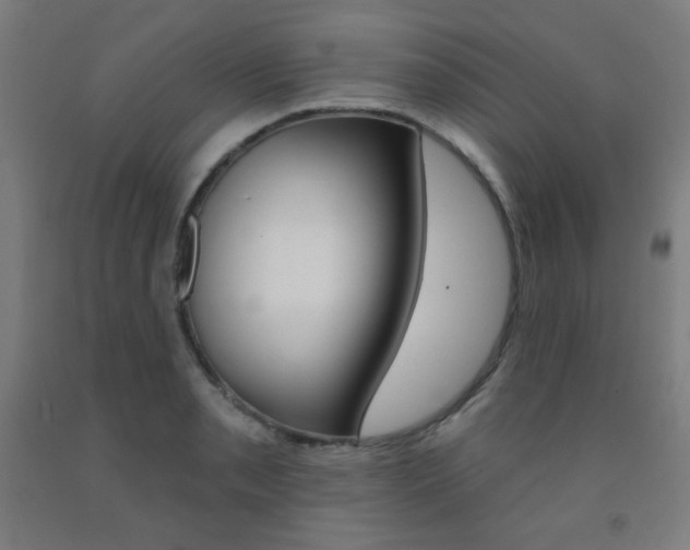 X0000093131085200709261030