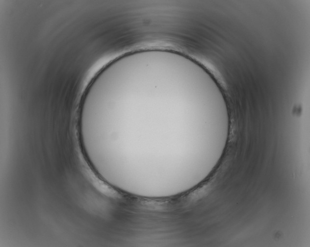 X0000093131086200709261030