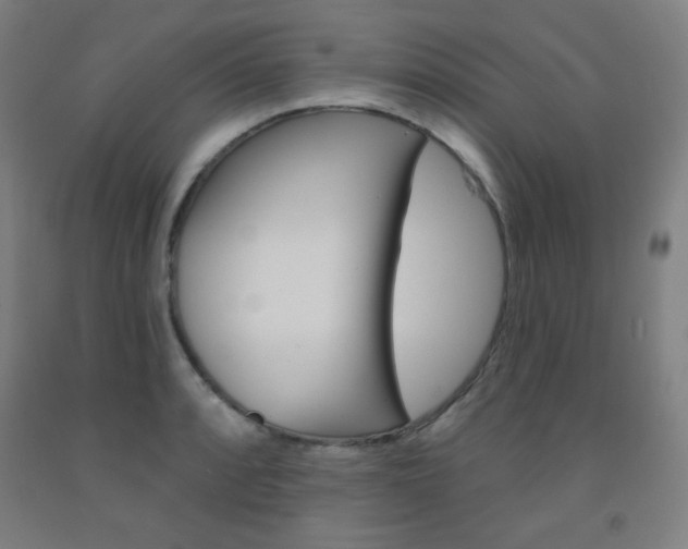X0000093131088200709261030
