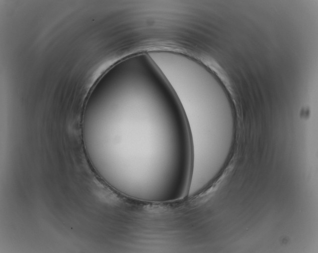X0000093131089200709261030