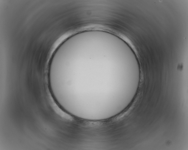X0000093131090200709261030