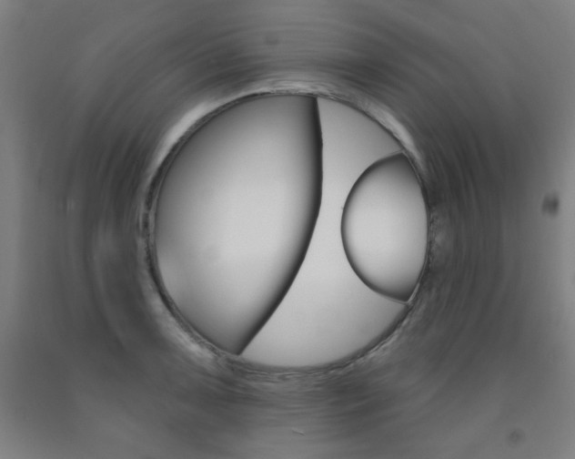 X0000093131091200709261030