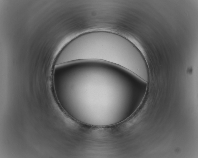 X0000093131093200709261030