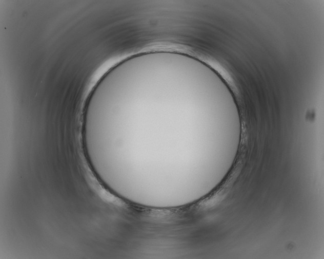 X0000093131094200709261030