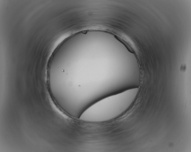 X0000093131095200709261030