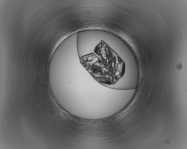 X0000093131097200709261030