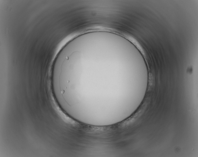 X0000093131098200709261030