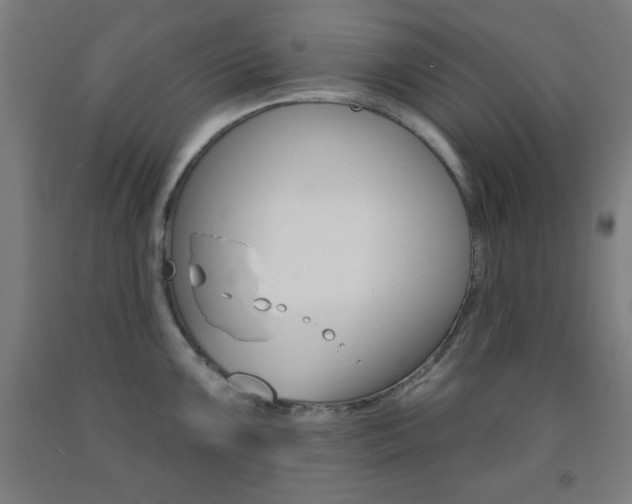 X0000093131099200709261030