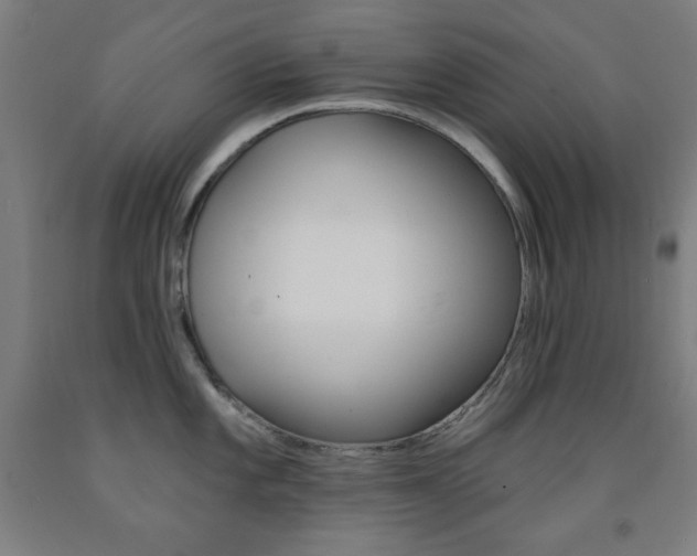 X0000093131101200709261030