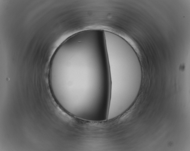 X0000093131102200709261030