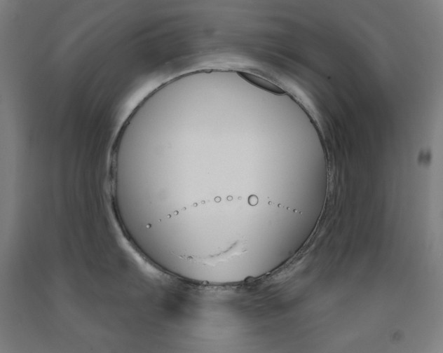 X0000093131103200709261030