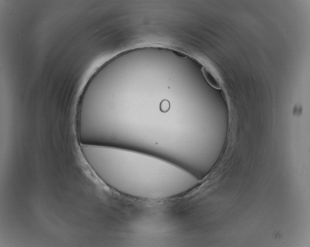 X0000093131104200709261030