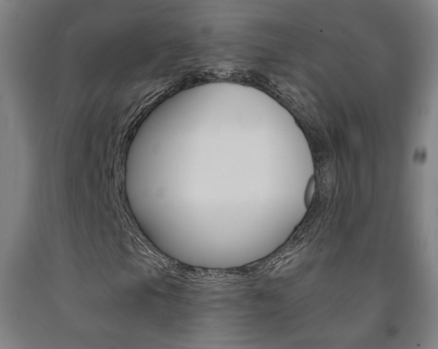 X0000093131105200709261029