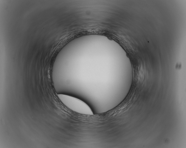 X0000093131106200709261029