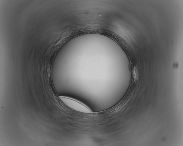 X0000093131107200709261029