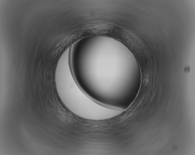 X0000093131108200709261029