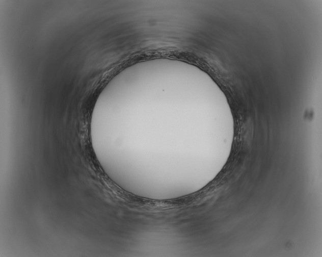 X0000093131109200709261029