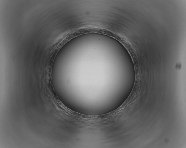 X0000093131110200709261029